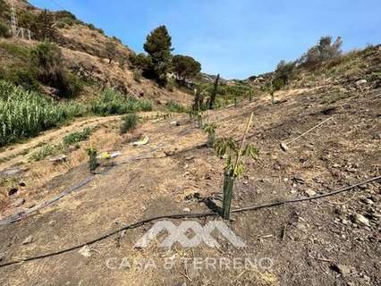 Parcela en venta en Torrox