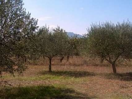 Parcela en venta en Teresa de Cofrentes