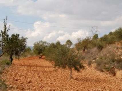 Parcela en venta en Teresa de Cofrentes