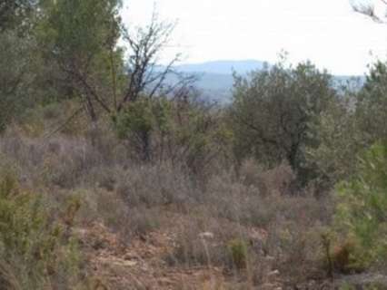 Parcela en venta en Teresa de Cofrentes