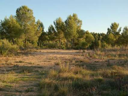 Parcela en venta en Teresa de Cofrentes