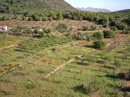 Parcela en venta en Sant Joan d'Alacant