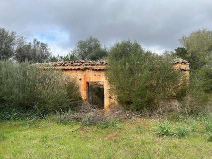 Parcela rústica en venta en Sencelles