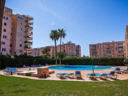 Planta baja en venta en Llucmajor rebajada