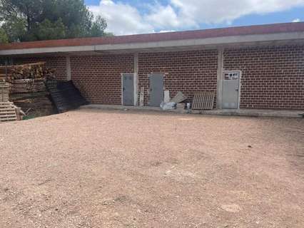 Local comercial en venta en Pilar de la Horadada