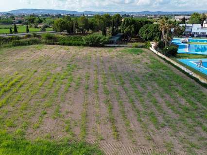 Parcela rústica en venta en Callosa de Segura