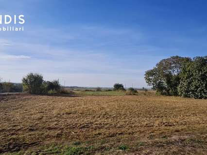 Parcela rústica en venta en Bellvís rebajada