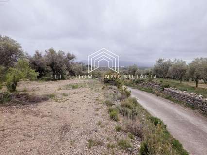 Parcela rústica en venta en Sant Mateu
