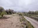 Parcela rústica en venta en Sant Mateu