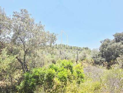 Parcela rústica en venta en Cervera del Maestre