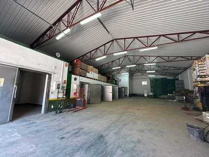 Nave industrial en venta en Beniparrell
