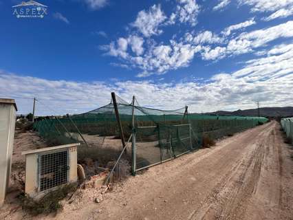 Parcela rústica en venta en Monforte del Cid