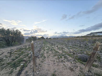 Parcela rústica en venta en La Romana