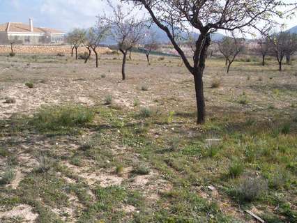 Parcela rústica en venta en Hondón de los Frailes