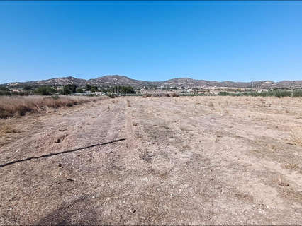 Parcela rústica en venta en Aspe