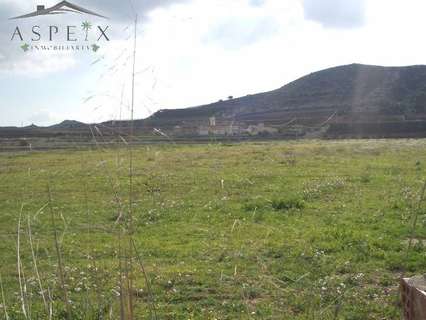 Parcela rústica en venta en Aspe rebajada