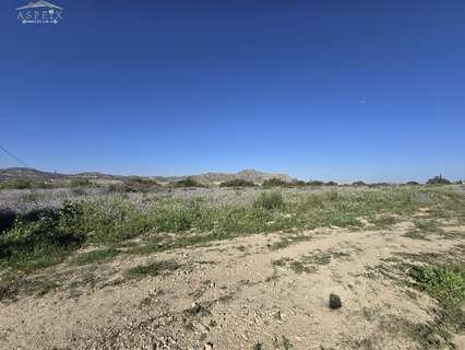 Parcela rústica en venta en Aspe rebajada