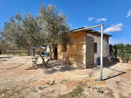 Local comercial en venta en Aspe rebajado