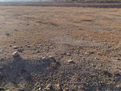 Parcela rústica en venta en Hondón de los Frailes