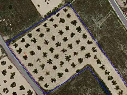 Parcela rústica en venta en Aspe