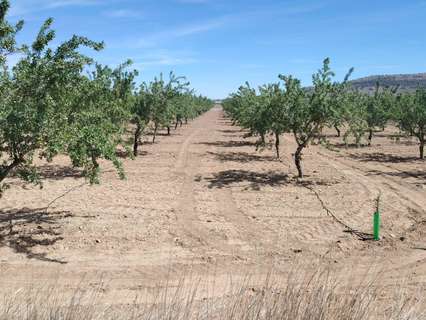 Parcela rústica en venta en Monóvar/Monòver