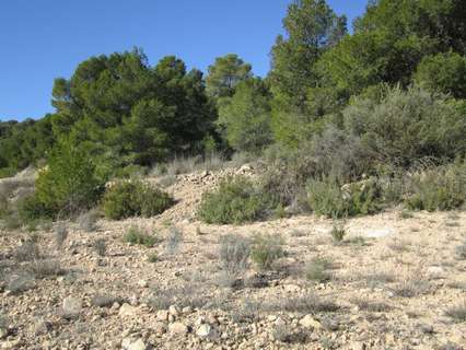 Parcela rústica en venta en Monóvar/Monòver