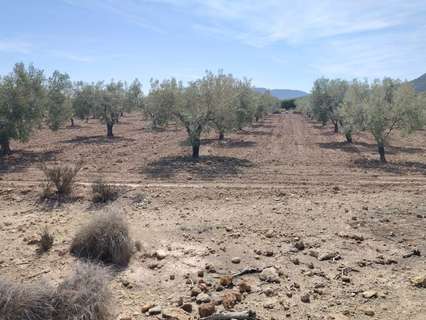 Parcela rústica en venta en Monóvar/Monòver