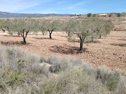 Parcela rústica en venta en Monóvar/Monòver