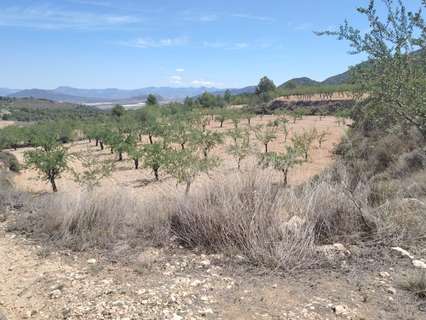 Parcela rústica en venta en Monóvar/Monòver