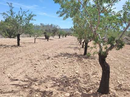 Parcela rústica en venta en Monóvar/Monòver
