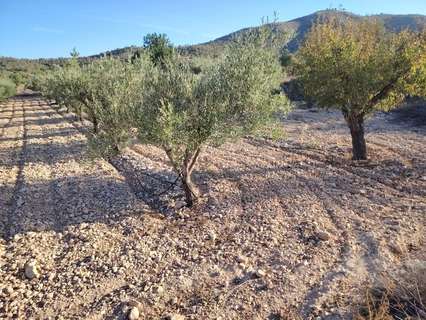Parcela rústica en venta en Hondón de las Nieves