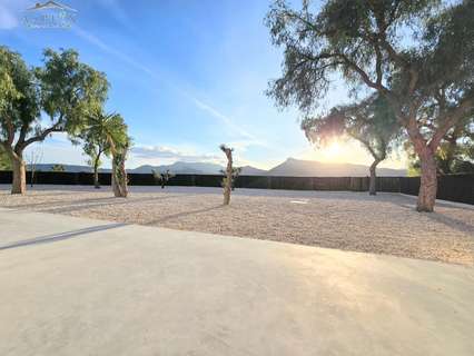 Chalet en venta en Aspe rebajado