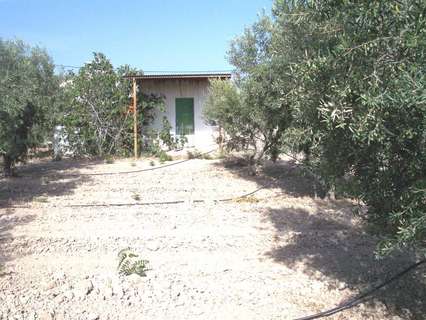 Local comercial en venta en Aspe