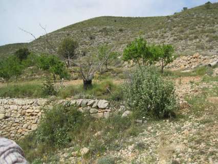 Parcela rústica en venta en Hondón de las Nieves