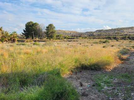 Parcela urbana en venta en Novelda