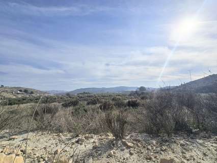 Parcela rústica en venta en Aspe