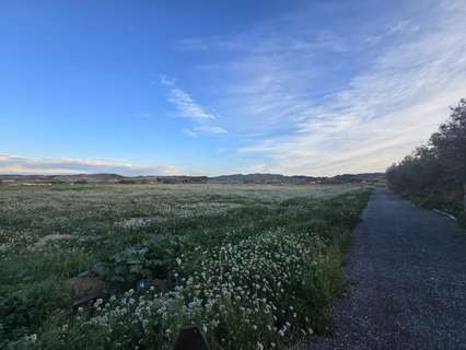 Parcela rústica en venta en Aspe