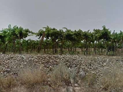 Parcela rústica en venta en Aspe