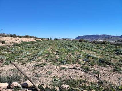 Parcela rústica en venta en Monforte del Cid