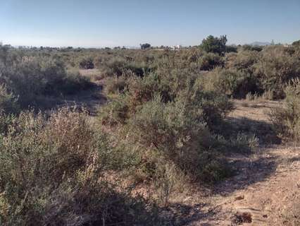 Parcela rústica en venta en Elche/Elx