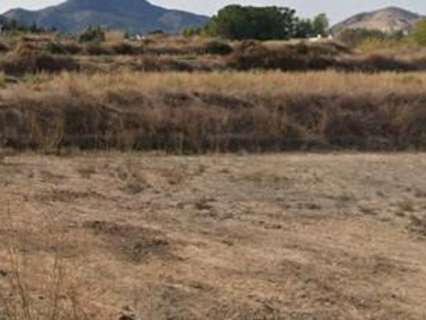 Parcela rústica en venta en Aspe