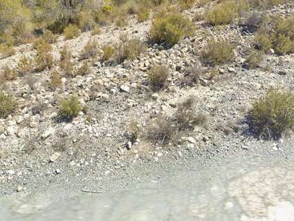 Parcela rústica en venta en Hondón de los Frailes