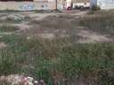 Parcela urbana en venta en Aspe