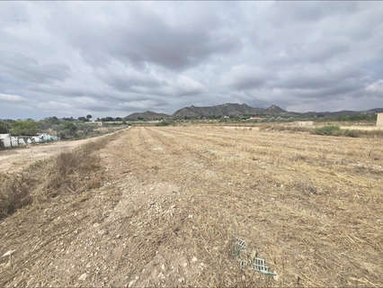 Parcela rústica en venta en Aspe