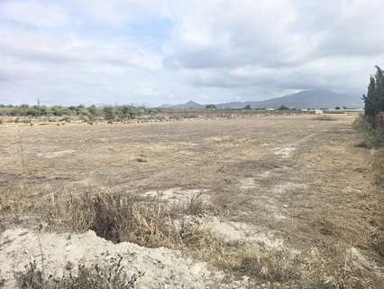 Parcela rústica en venta en Aspe