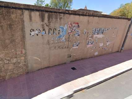 Parcela rústica en venta en Algueña