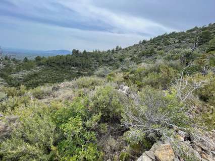 Parcela rústica en venta en Tortosa rebajada