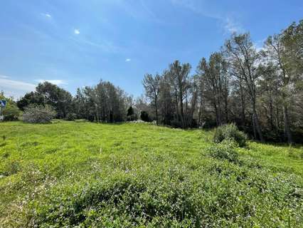 Parcela rústica en venta en Mont-Roig del Camp