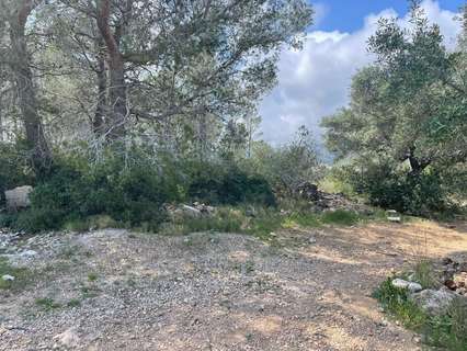 Parcela rústica en venta en Mont-Roig del Camp