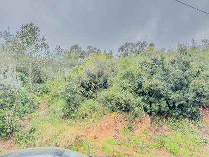 Parcela urbana en venta en Sant Vicenç dels Horts rebajada